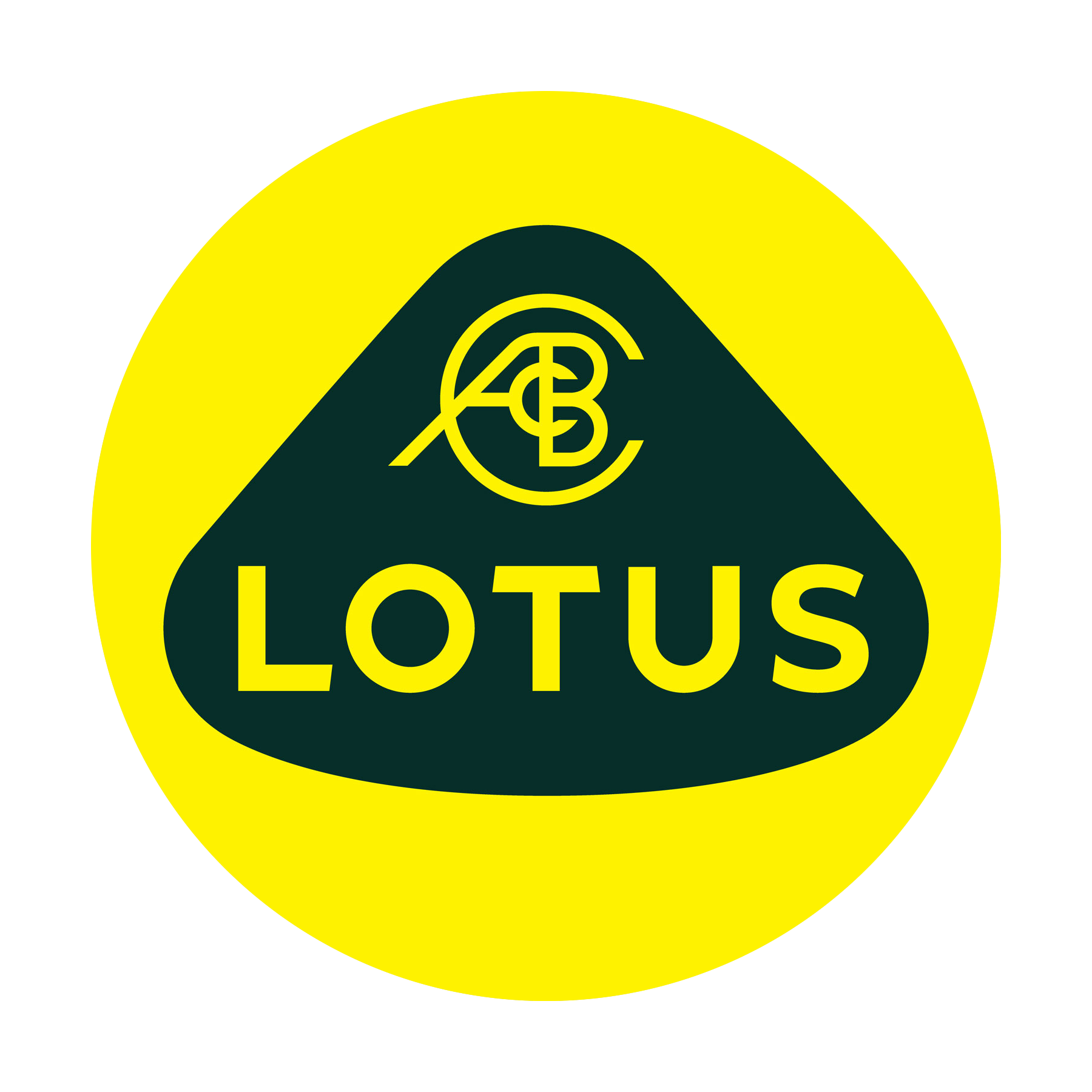 Lotus Repair