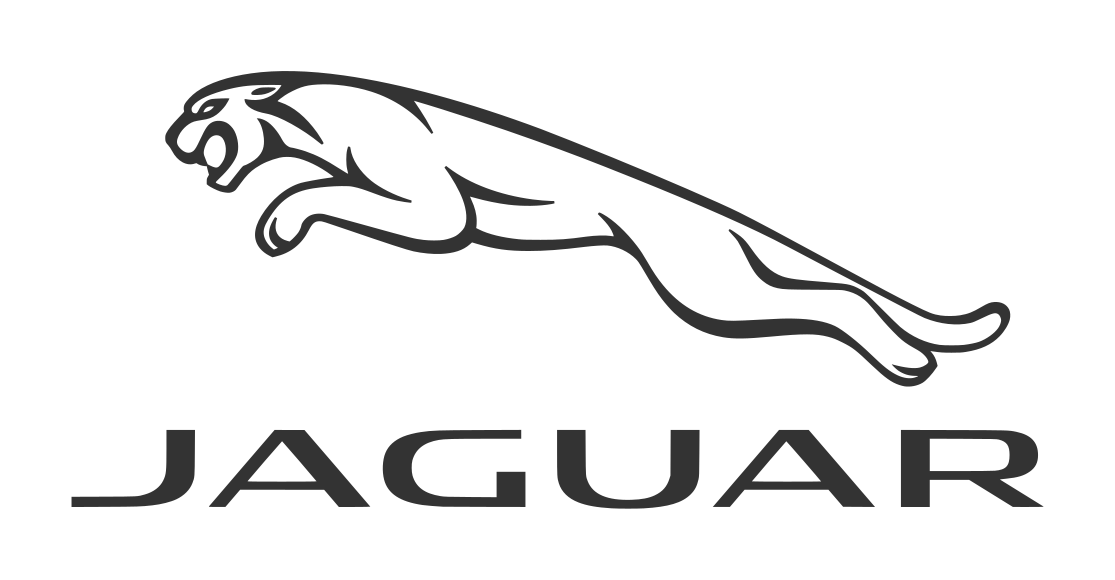 Jaguar Repair