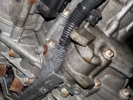 Audi Differential Oil Leakage Repair